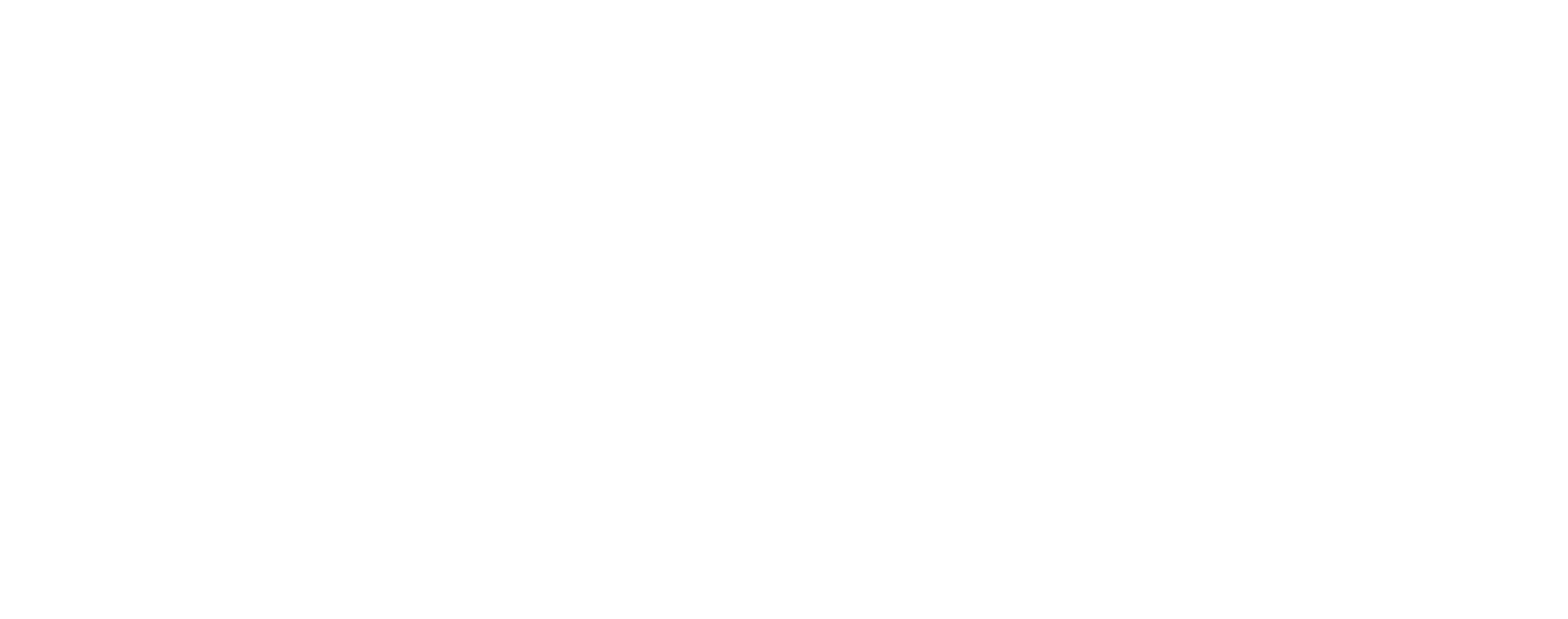 TAMQUEST Logo